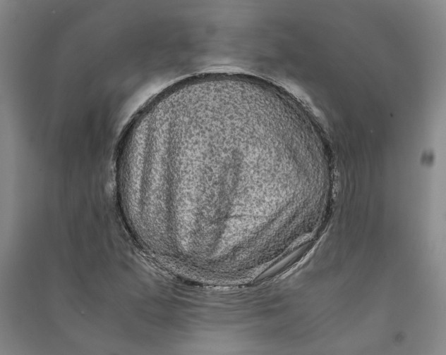 X0000090861167200708171559