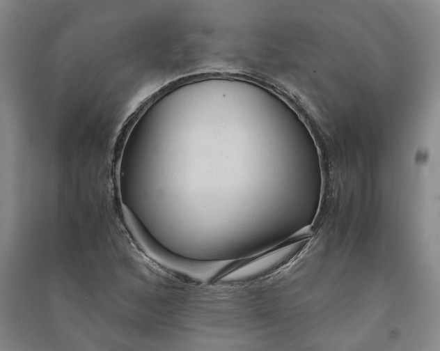 X0000090861168200708171559
