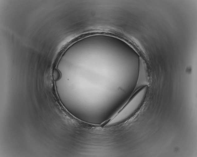 X0000090861172200708171559
