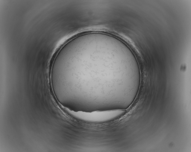 X0000090861176200708171559