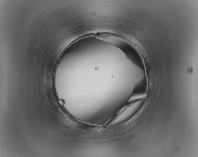X0000090861177200708171559