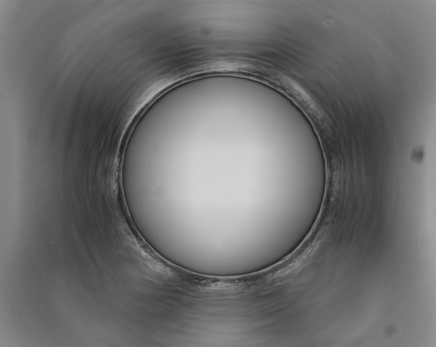 X0000090861178200708171559