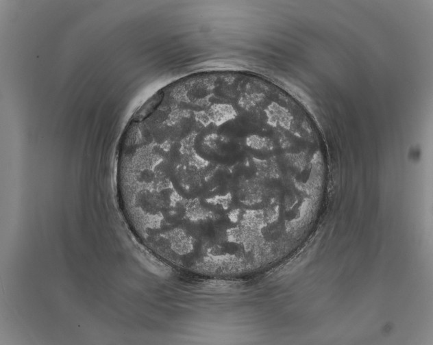 X0000090861179200708171559
