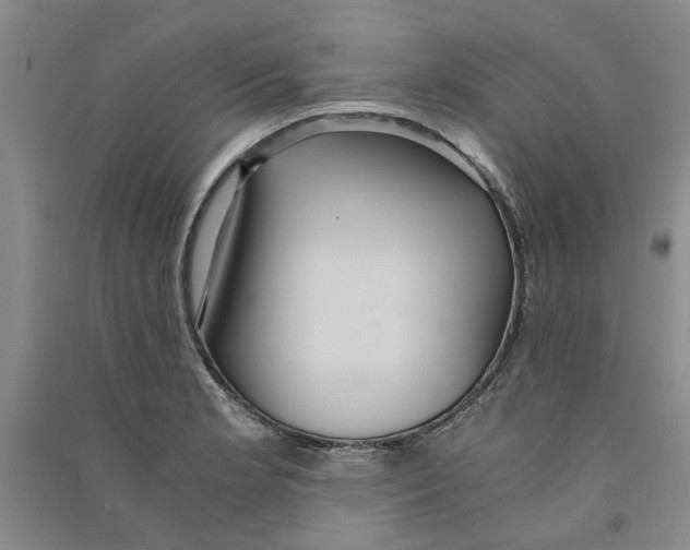 X0000090861181200708171559