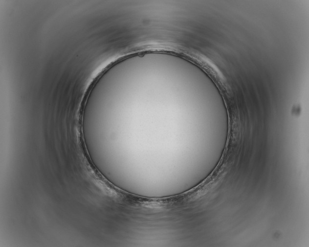 X0000090861182200708171559