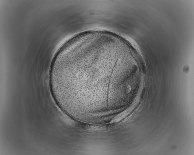 X0000090861183200708171559