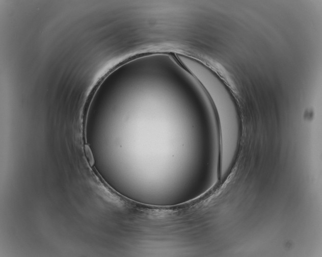 X0000090861184200708171559