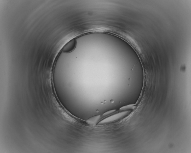 X0000090861186200708171559