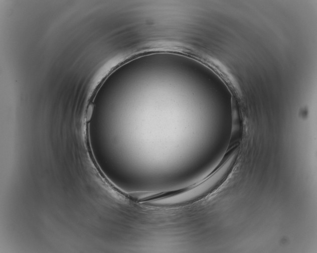 X0000090861188200708171559