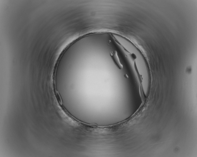 X0000090861189200708171559