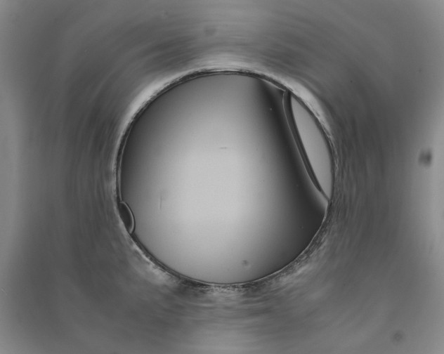 X0000090861191200708171559