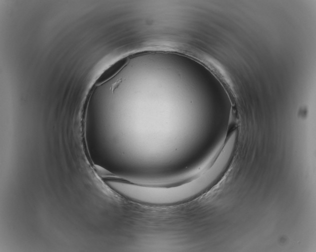X0000090861192200708171559