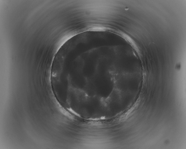 X0000090861194200708171559