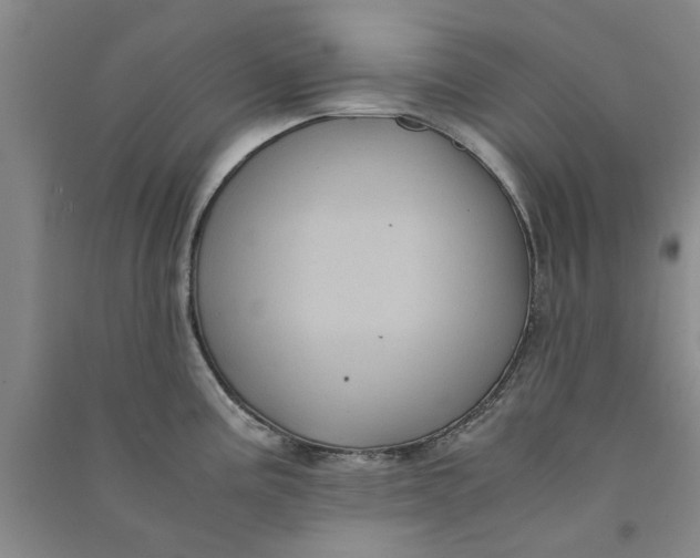 X0000090861195200708171559