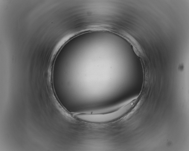 X0000090861196200708171559
