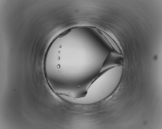 X0000090861197200708171559