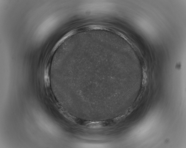 X0000090861198200708171559