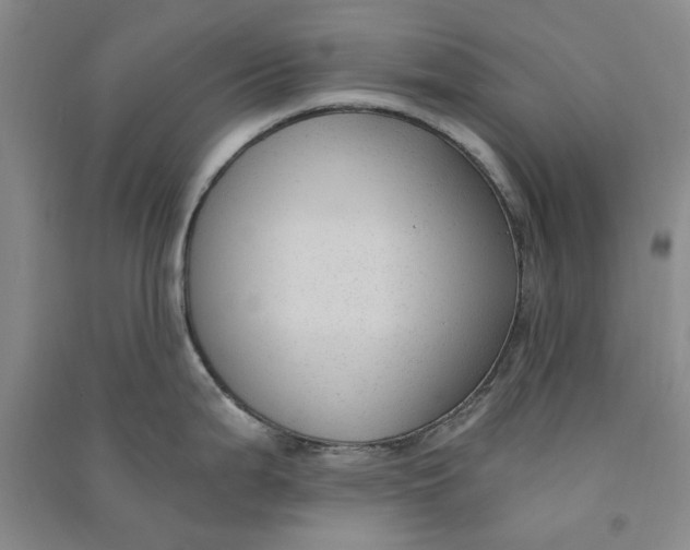 X0000090861199200708171559