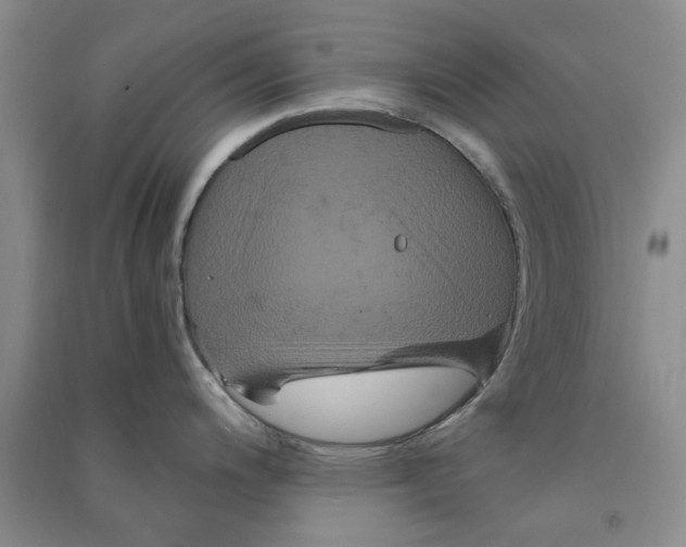 X0000090861200200708171559
