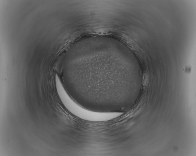 X0000090861202200708171558