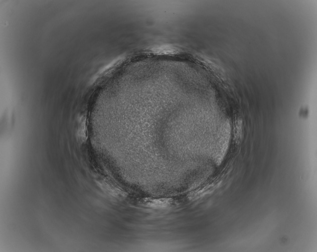 X0000090861205200708171558