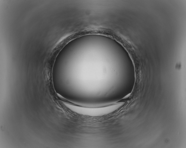 X0000090861206200708171558