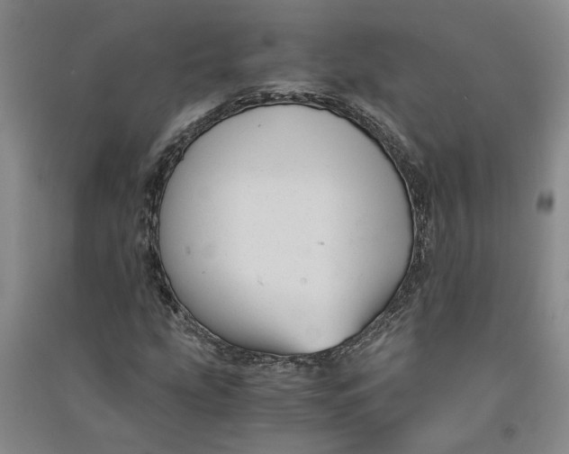 X0000090861207200708171558