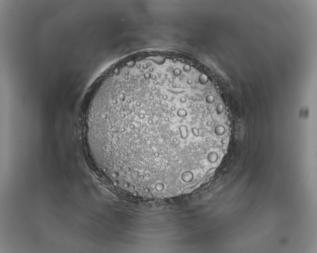 X0000090861208200708171558