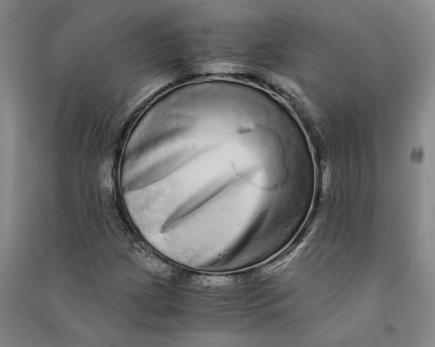 X0000090861209200708171558