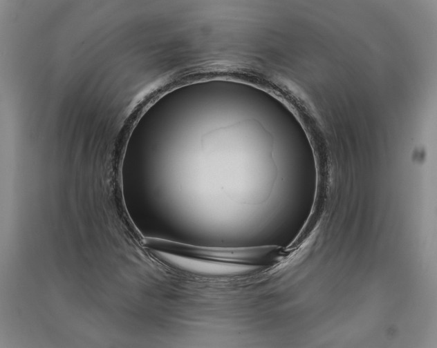 X0000090861210200708171558