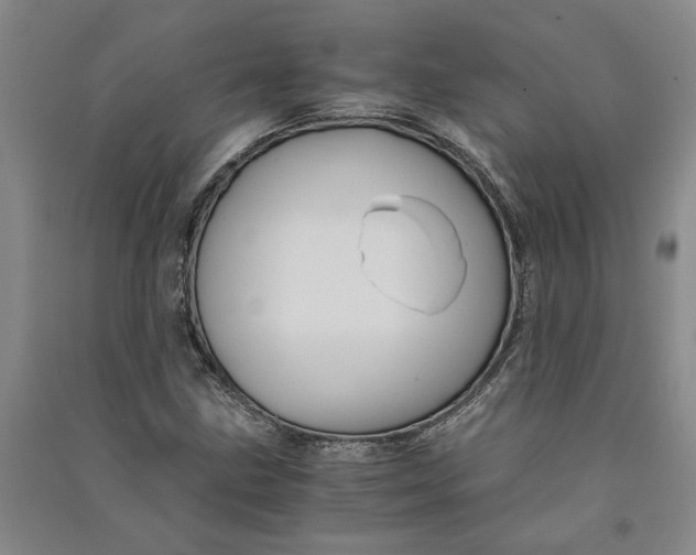 X0000090861211200708171558