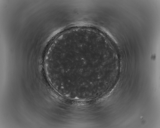 X0000090861213200708171558