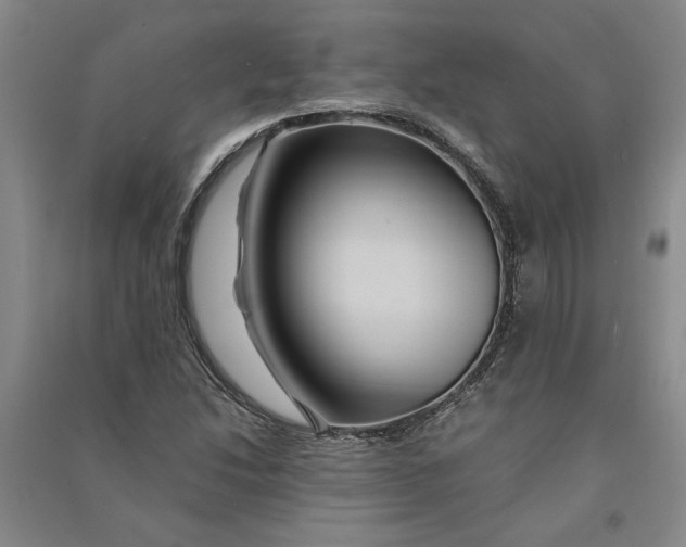 X0000090861214200708171558