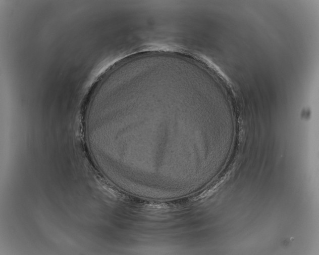 X0000090861215200708171558