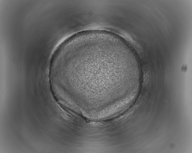 X0000090861216200708171558