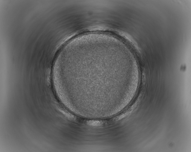 X0000090861217200708171558