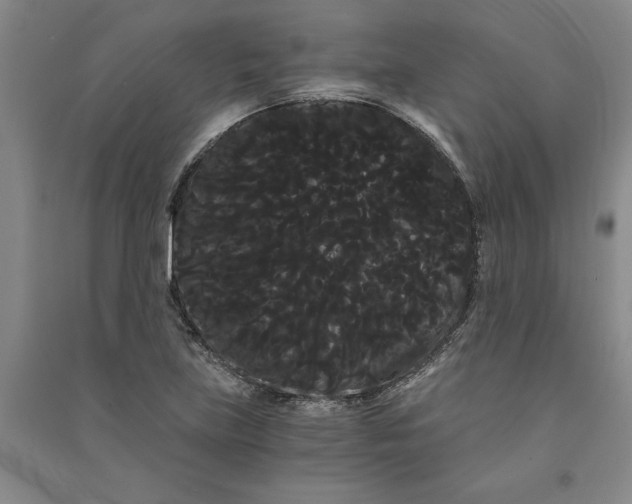 X0000090861219200708171558