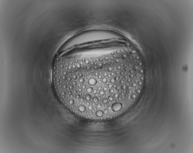 X0000090861221200708171558