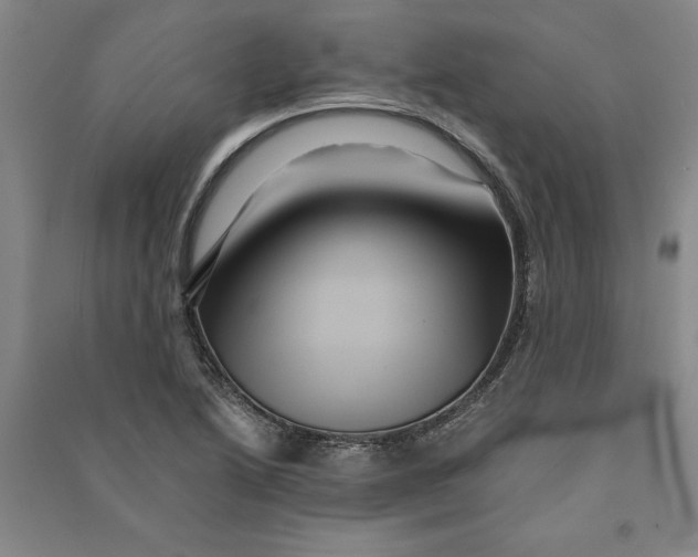X0000090861222200708171558