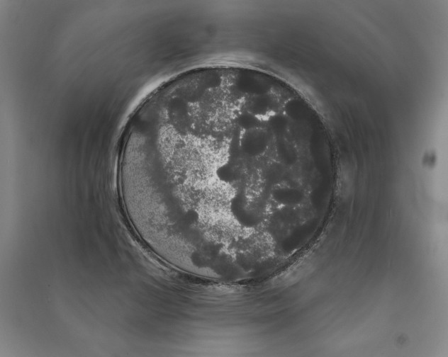 X0000090861224200708171559