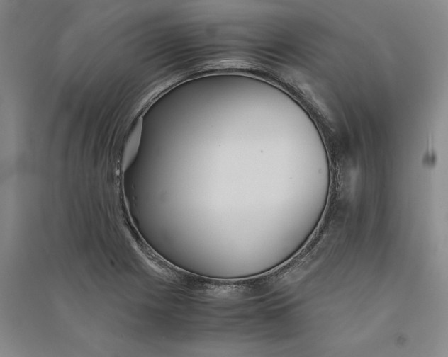 X0000090861225200708171559