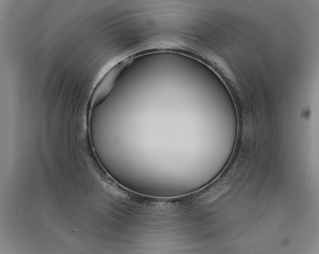 X0000090861226200708171559