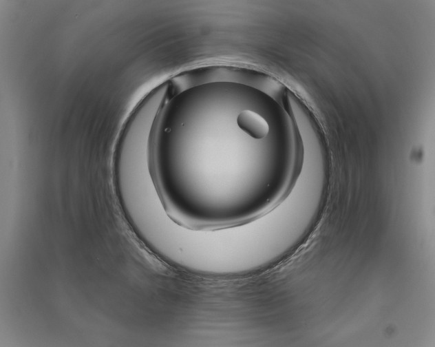 X0000090861230200708171559