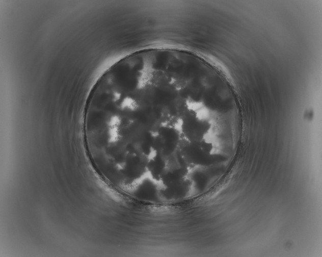 X0000090861231200708171559