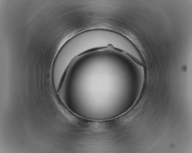 X0000090861234200708171559