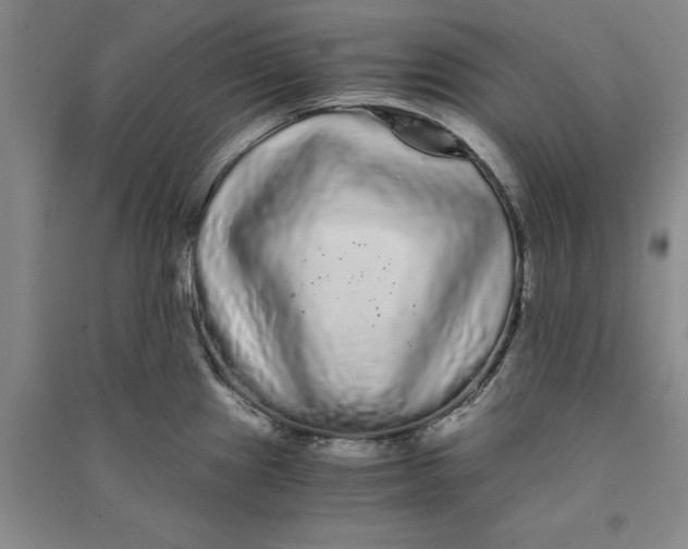 X0000090861241200708171559