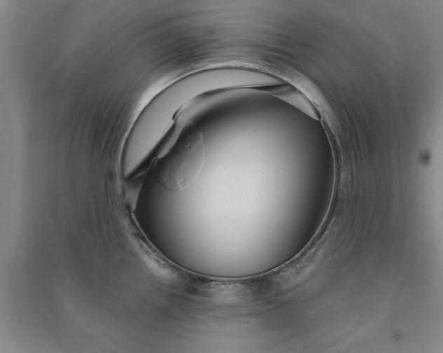 X0000090861242200708171559