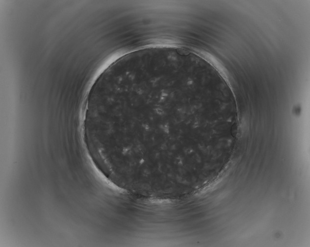 X0000090861243200708171559