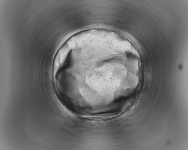 X0000090861244200708171559