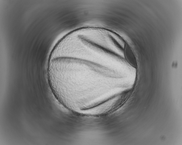 X0000090861248200708171559